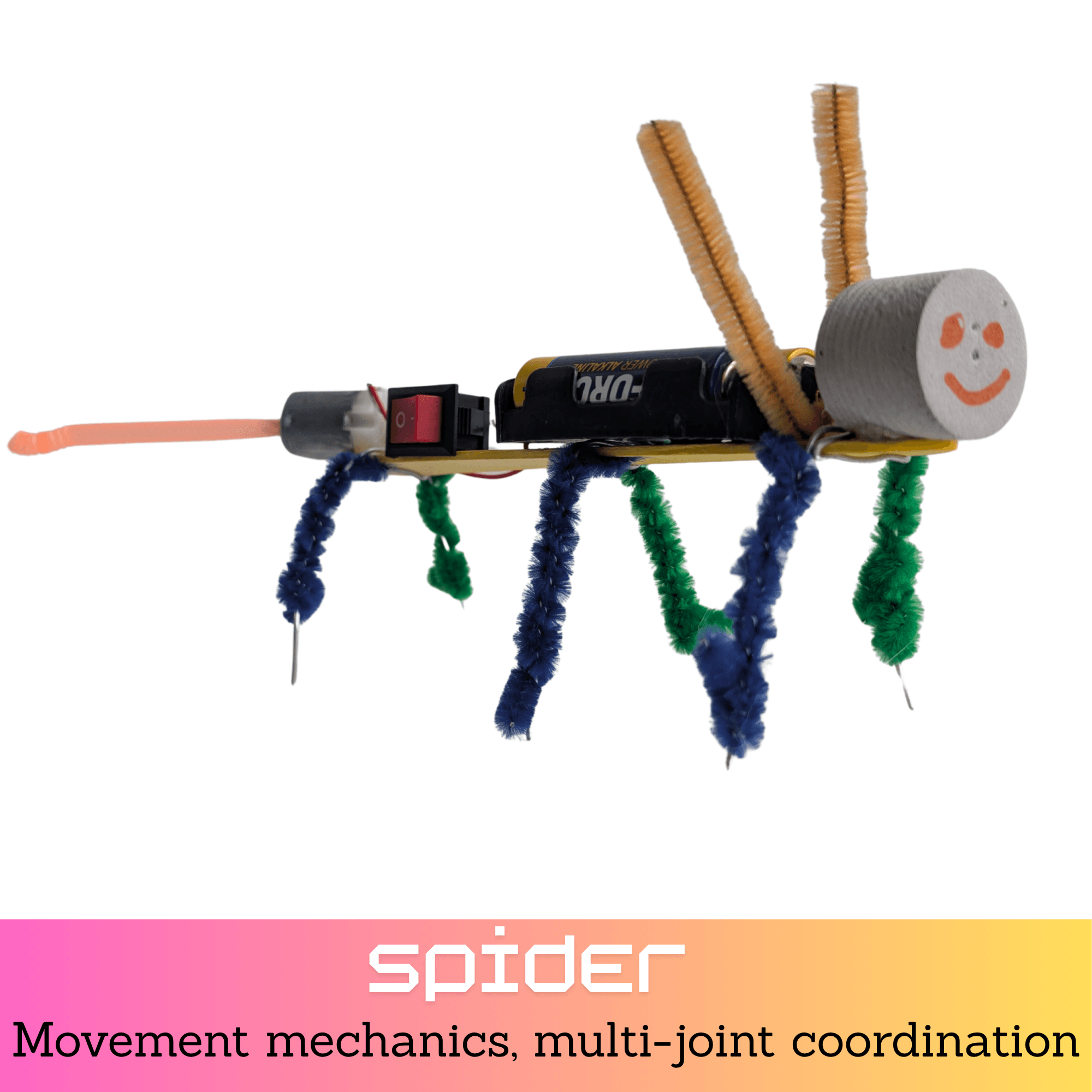 Zelfgebouwde robotspin met acht beweegbare poten, workshop over bewegingsmechanica